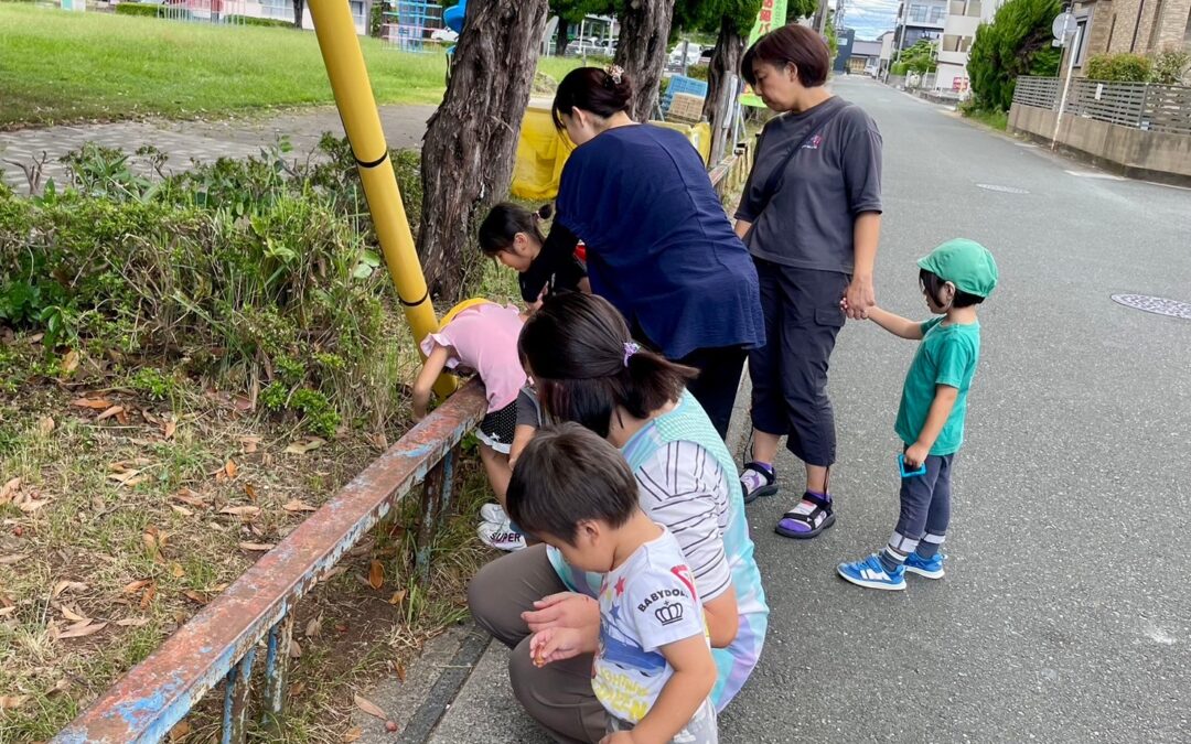 今日の活動9月26日