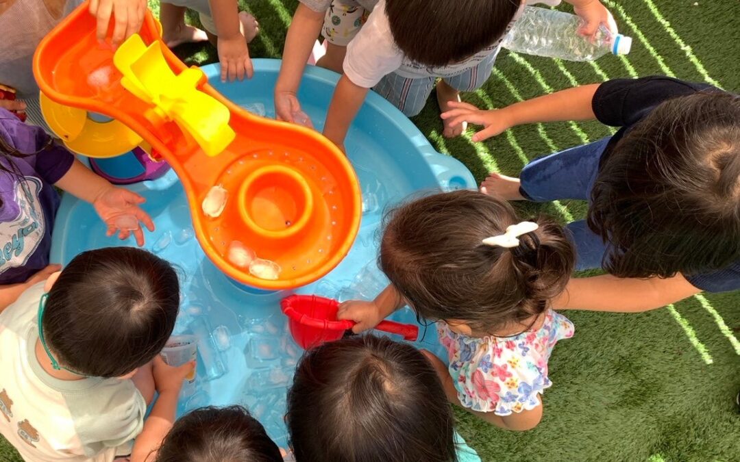 今日の活動9月13日