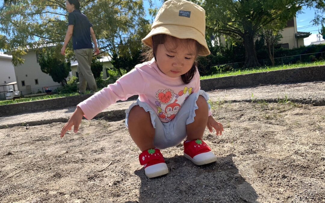 今日の活動10月14日