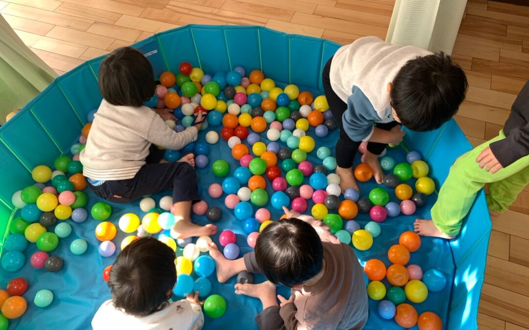 今日の活動12月6日