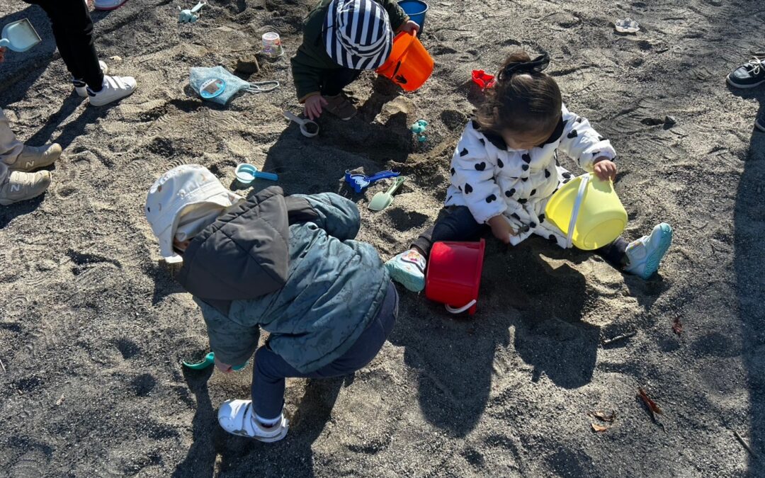 今日の活動1月13日