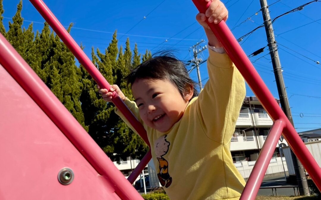 今日の活動1月17日