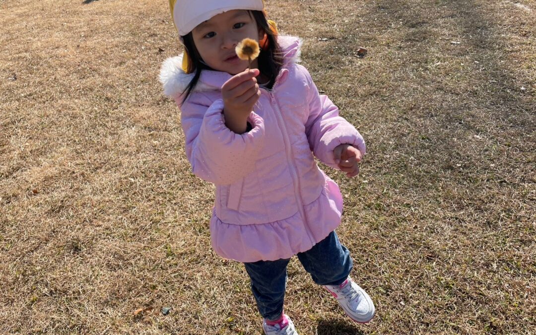 今日の活動1月21日