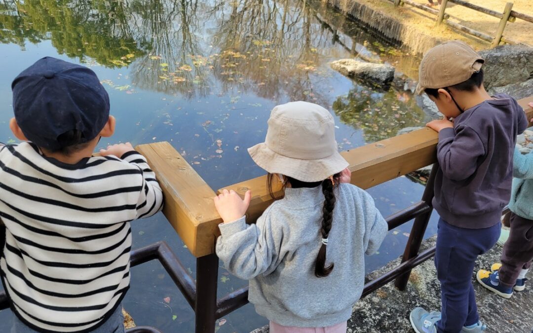 今日の活動1月23日