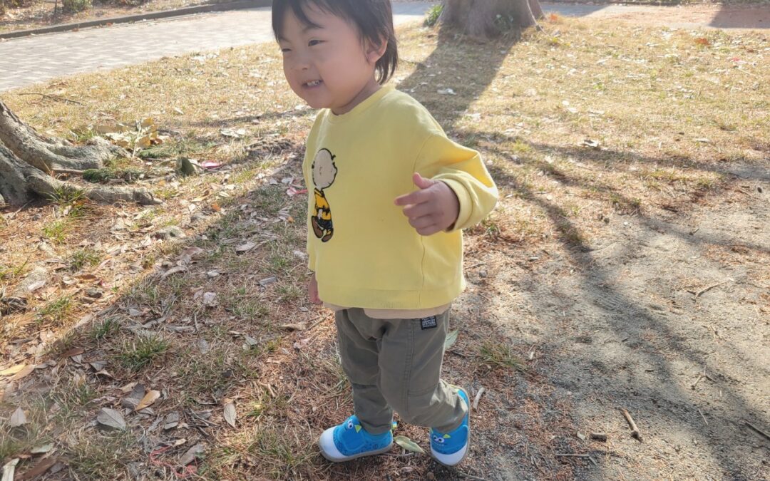 今日の活動1月24日