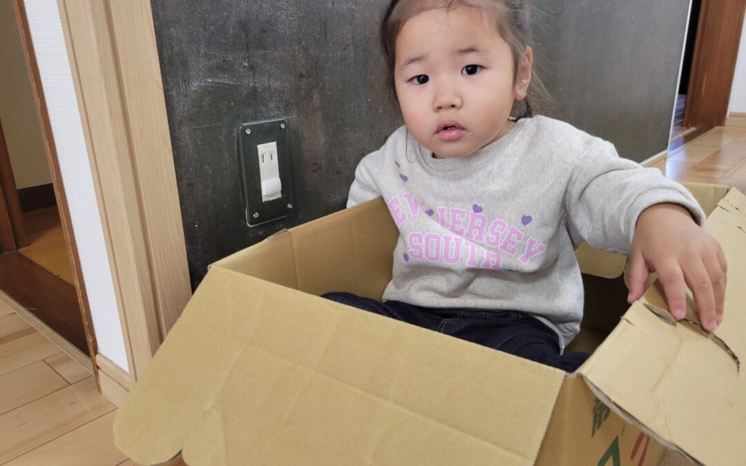 今日の活動1月7日