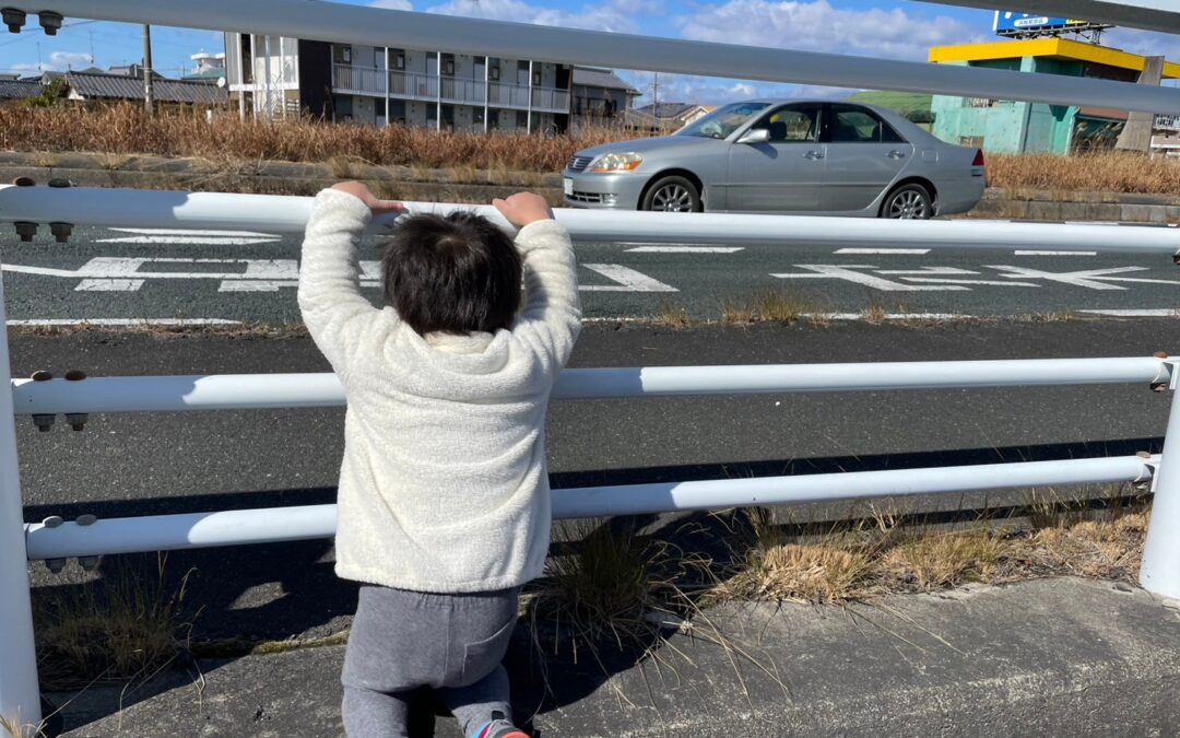今日の活動2月13日