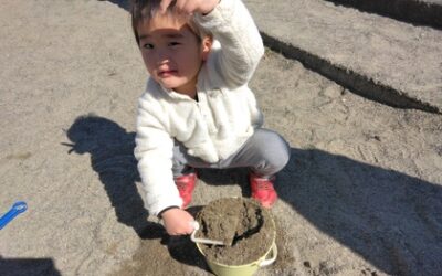 今日の活動2月20日