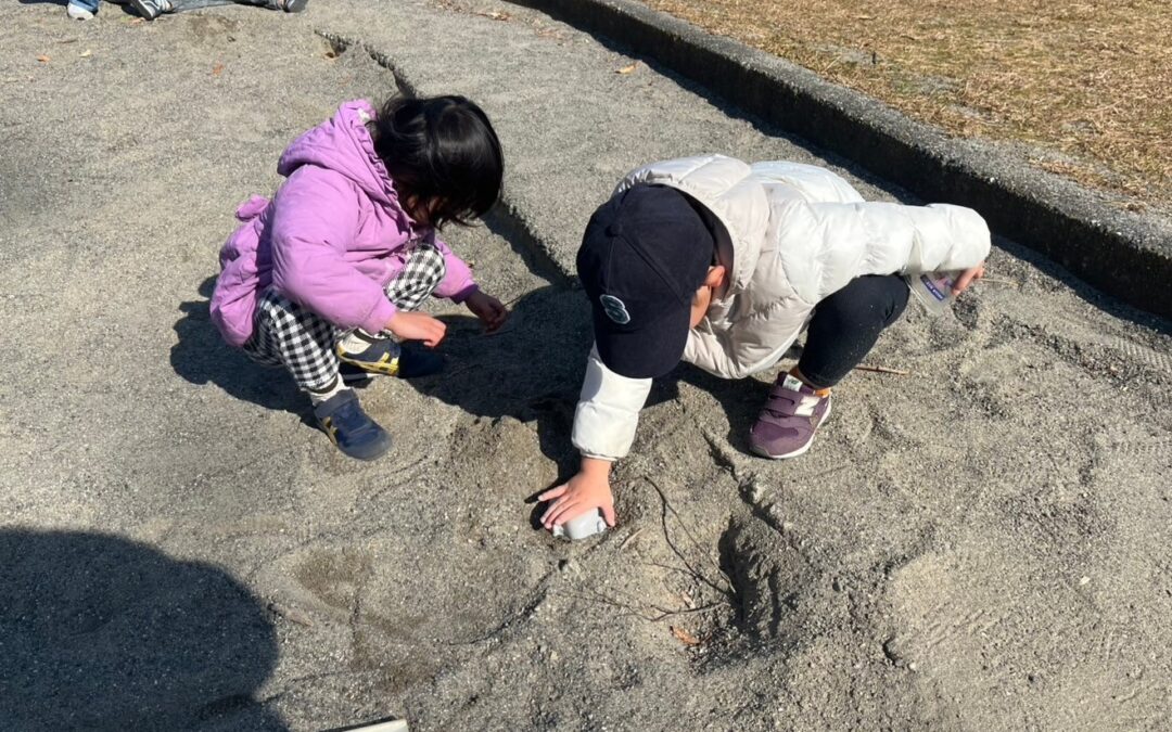 今日の活動1月31日