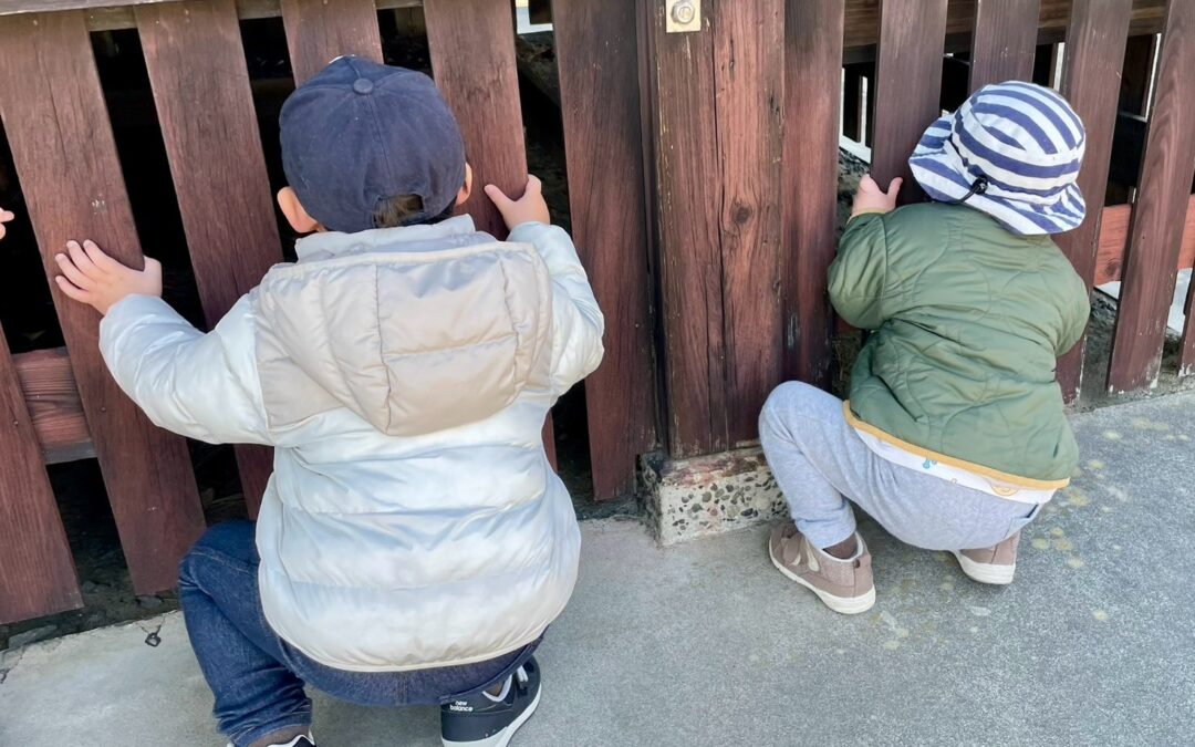 今日の活動3月20日
