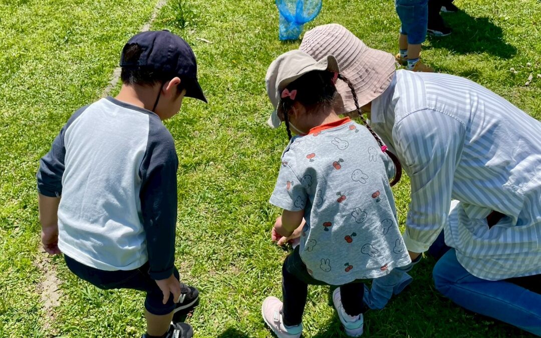 今日の活動4月30日