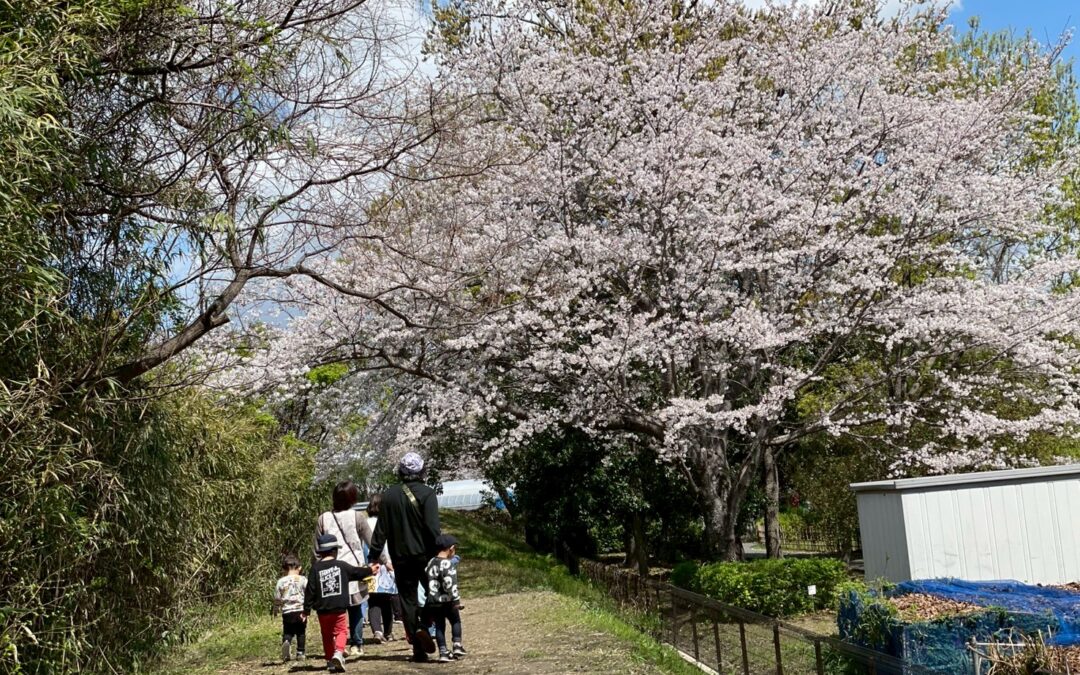 今日の活動4月4日