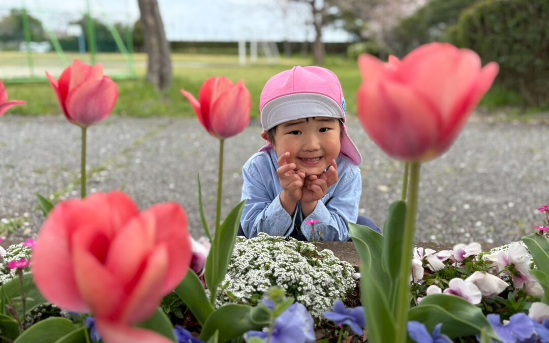 今日の活動4月5日