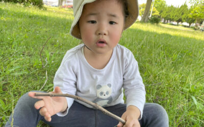 今日の活動5月13日