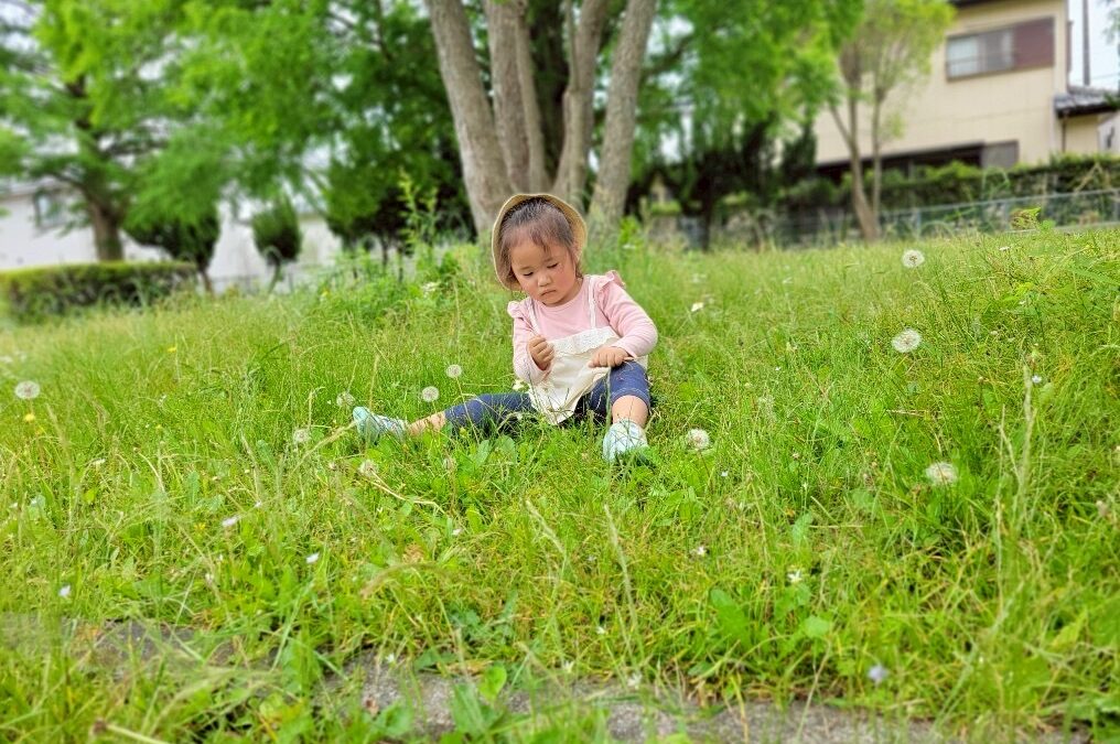 今日の活動5月16日