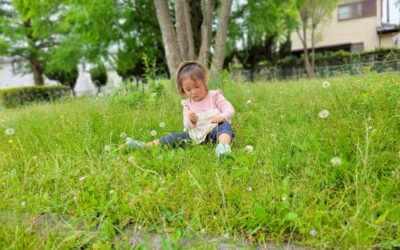 今日の活動5月16日