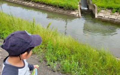 今日の活動5月12日