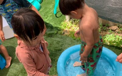 今日の活動6月27日