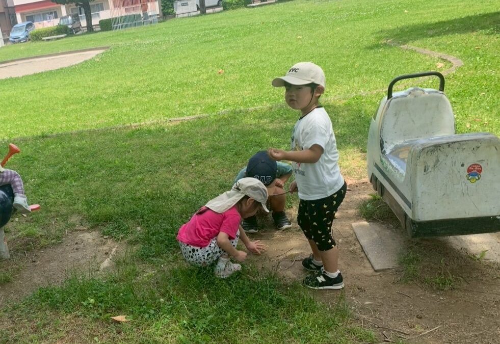 今日の活動6月6日