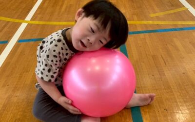 今日の活動6月11日