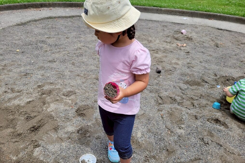 今日の活動6月13日