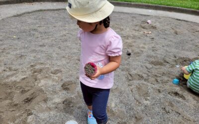 今日の活動6月13日