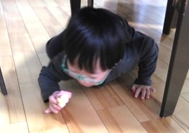 今日の活動5月27日
