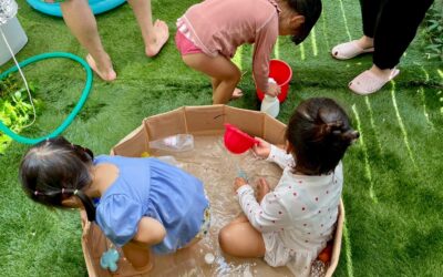 今日の活動8月29日