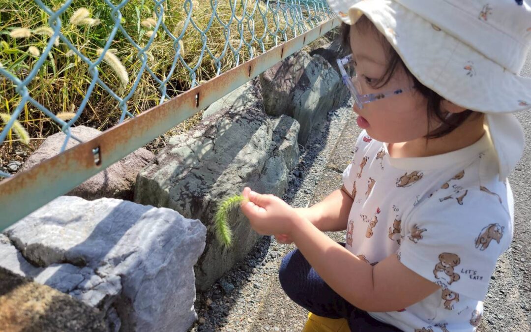 今日の活動9月22日