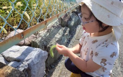 今日の活動9月22日