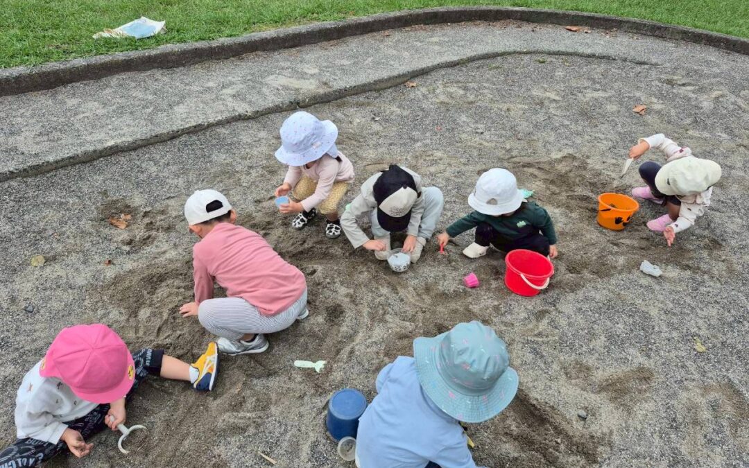 今日の活動10月24日