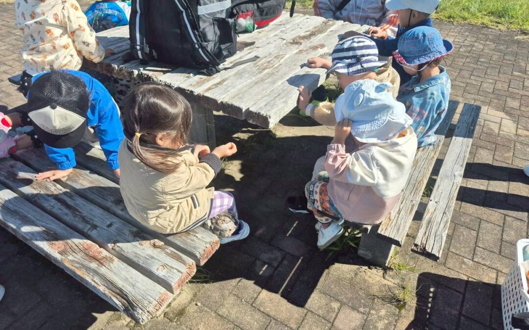 今日の活動１１月３日