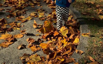 今日の活動11月28日