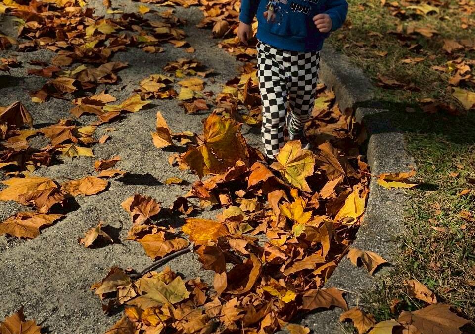 今日の活動11月28日