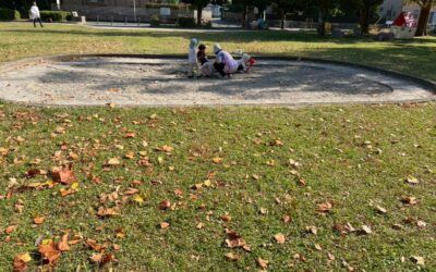 今日の活動11月17日