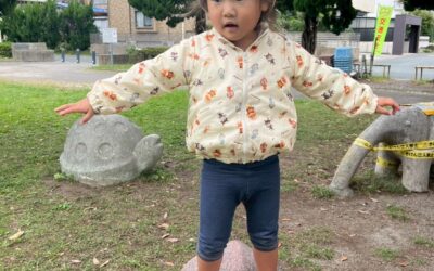 今日の活動１１月５日