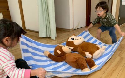 今日の活動１１月１３日