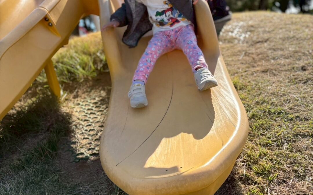 今日の活動11月19日