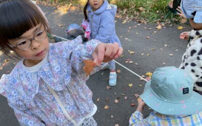 今日の活動11月26日