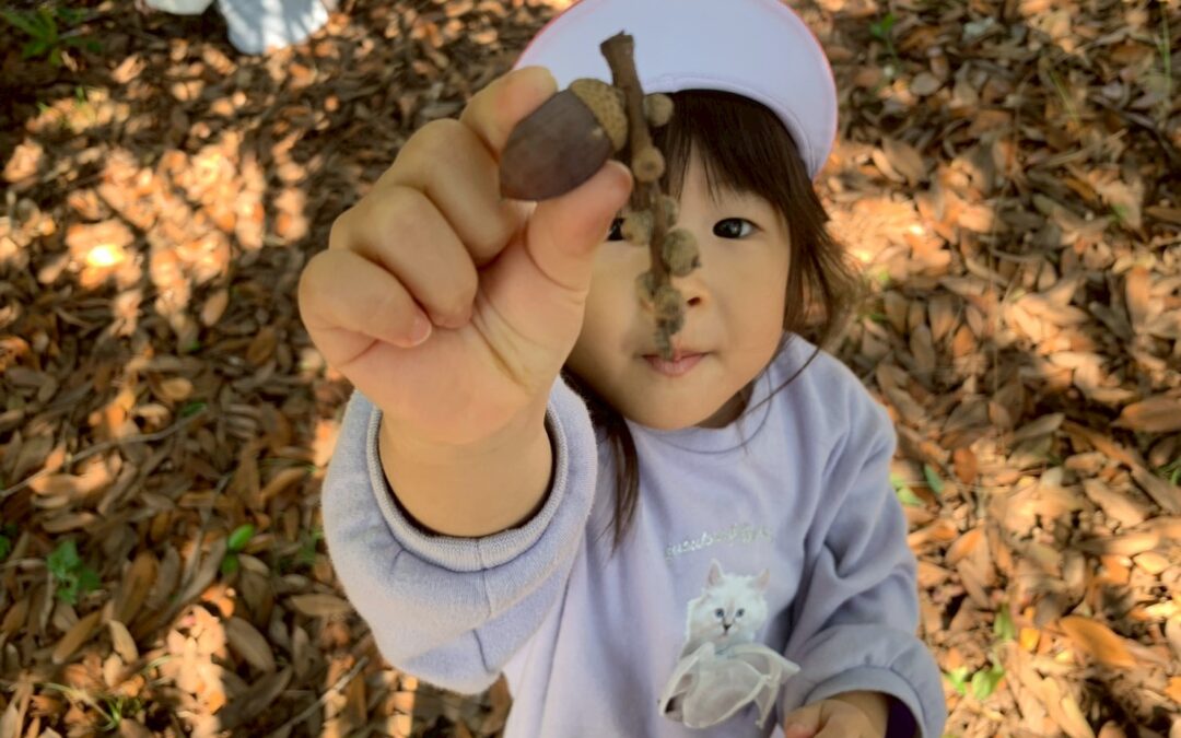 今日の活動11月14日