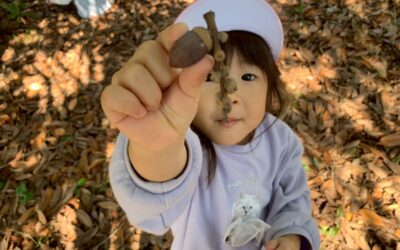 今日の活動11月14日