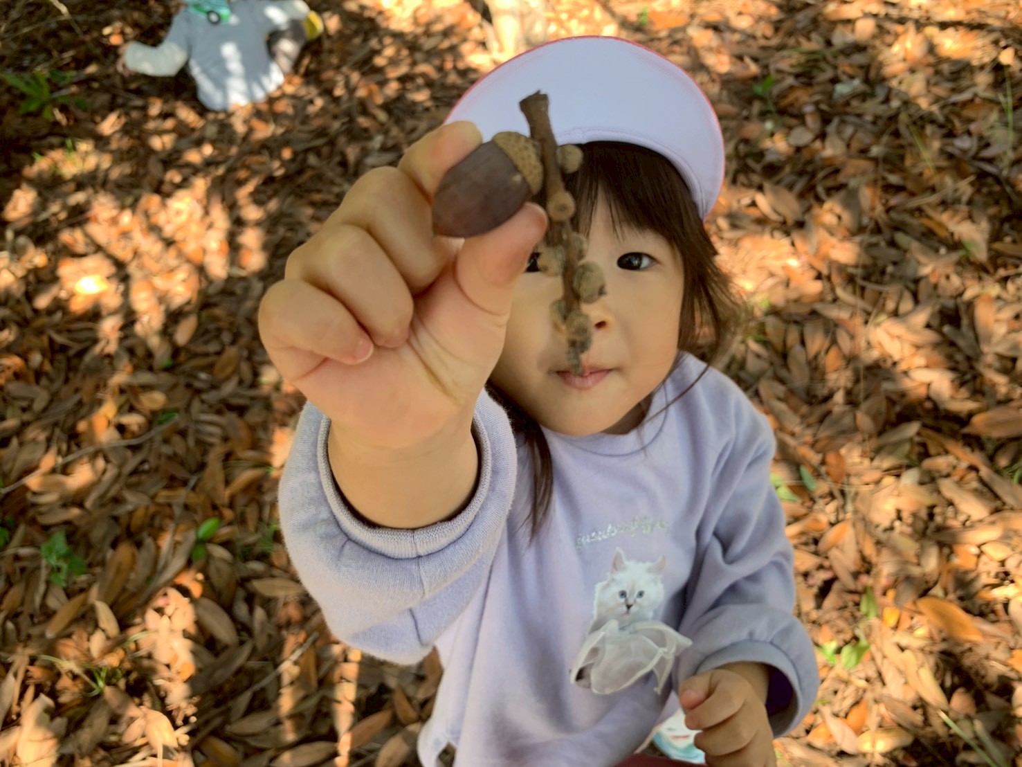 LINE_ALBUM_20251114_251114_1