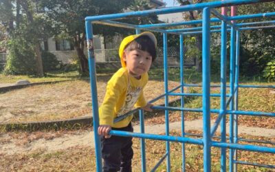 今日の活動12月8日