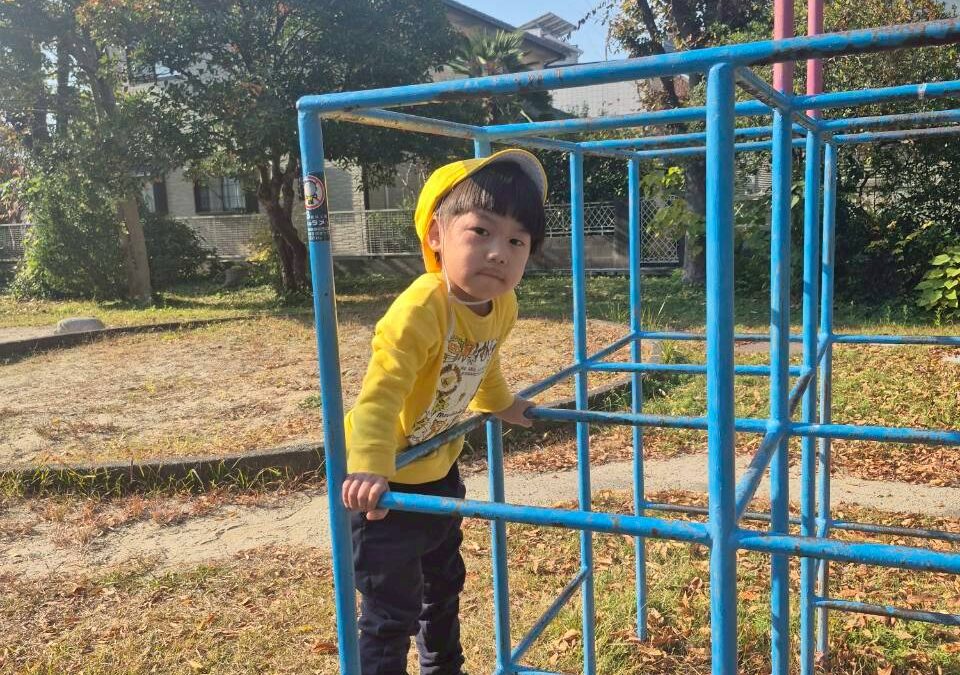 今日の活動12月8日