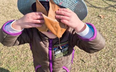 今日の活動12月23日