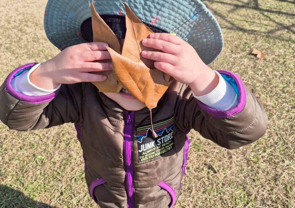 今日の活動12月23日