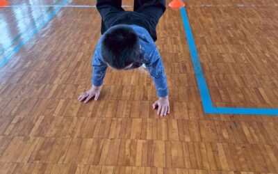 今日の活動12月22日