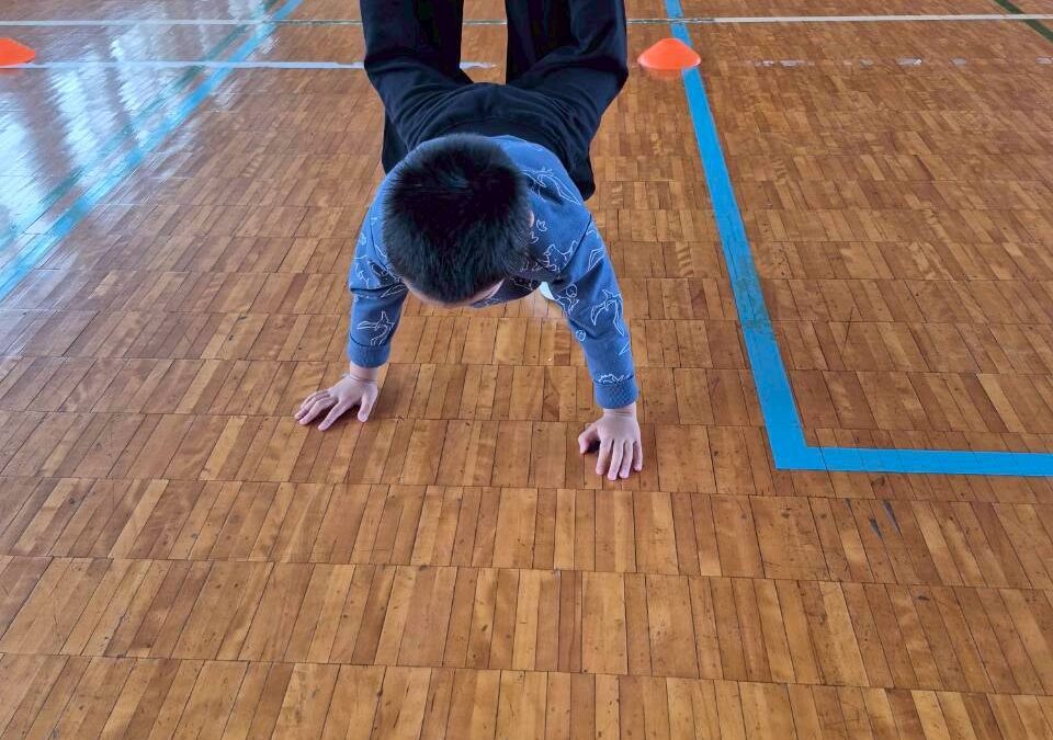 今日の活動12月22日