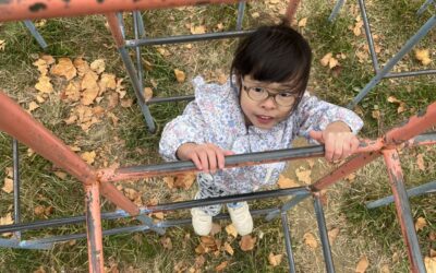 今日の活動12月3日