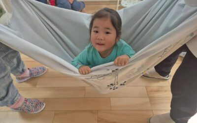 今日の活動12月5日